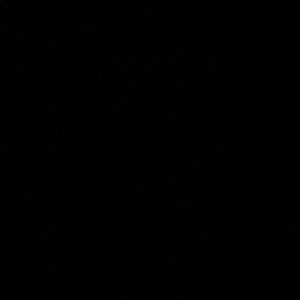 Meet your Posher, Daisy